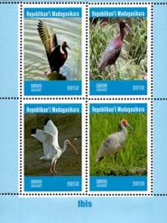 Madagascar 2019 Ibis Birds 4v Mint Souvenir Sheet S/S.