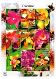 Somalia IMPERF. 2002 Orchids Flowers 9v Mint Full Sheet.