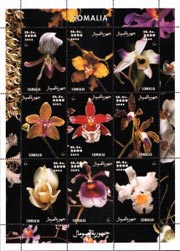 Somalia 2002 Orchid Flowers 9v Mint Full Sheet.