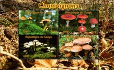 Congo 2015 Mushrooms Fungi 4v Mint Souvenir Sheet S/S.