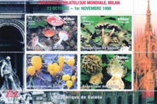 Guinea Rep. 1998 Mushrooms Fungi Int. Stamp Exhibition Pilze Flora 4v Mint Souvenir Sheet S/S.